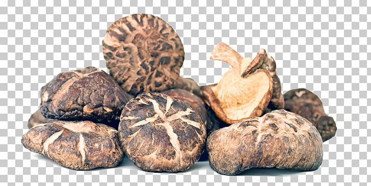 Shiitake Edible Mushroom Powder Fungus PNG, Clipart, Appetite, Chaga Mushroom, Chinese Cuisine, Cocoa Bean, Edible Mushroom Free PNG Download