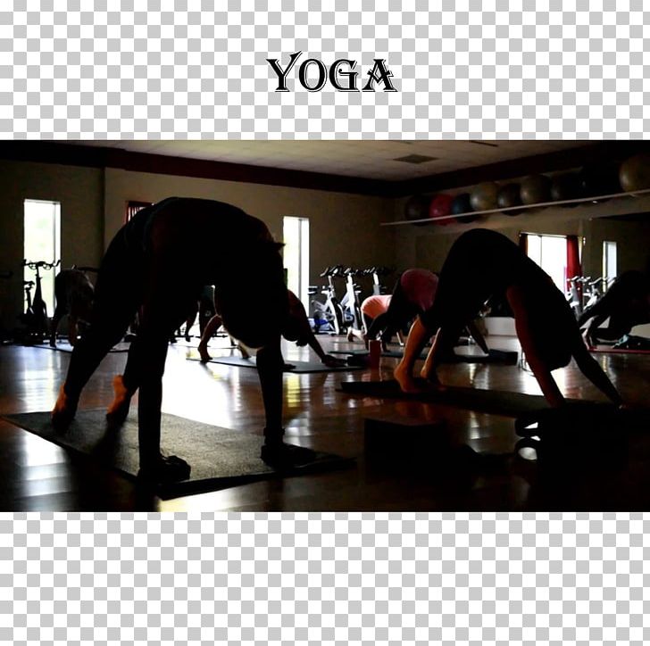 The Yoga Studio In Magnolia Physical Fitness Exercise Fitness Centre PNG, Clipart, Brand, Breathing, Exercise, Fee, Fitness Centre Free PNG Download