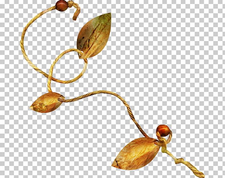Rope Bead PNG, Clipart, Amber, Bead, Body Jewelry, Clothing Accessories, Download Free PNG Download