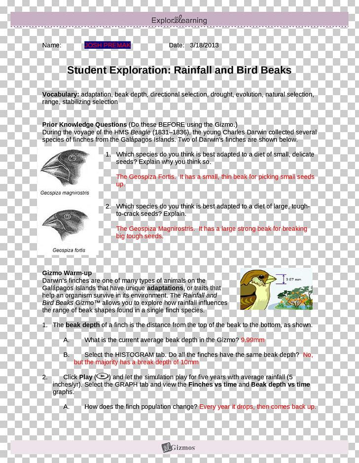 Bird Beak Ripple Tank ExploreLearning Finches PNG, Clipart, Animals, Area, Beak, Biology, Bird Free PNG Download