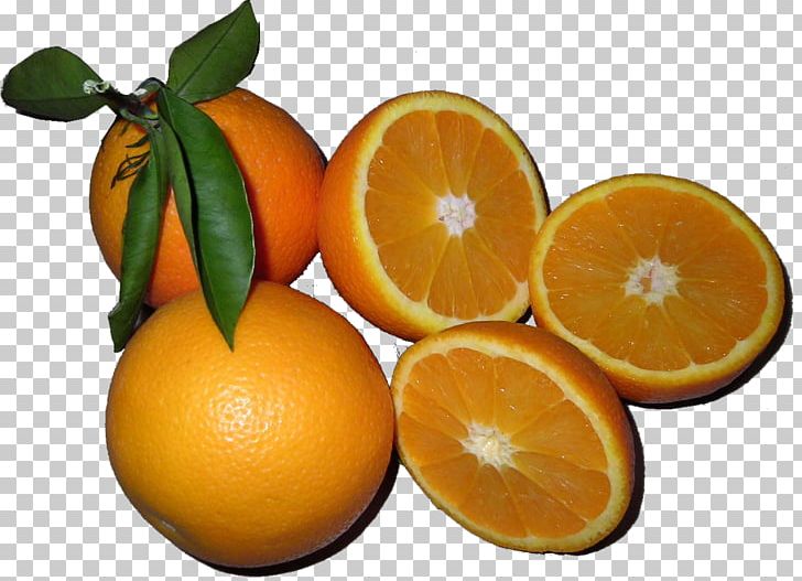 Blood Orange Tangelo Tangerine Clementine PNG, Clipart, Blood Orange, Chenpi, Citric Acid, Citron, Citrus Free PNG Download