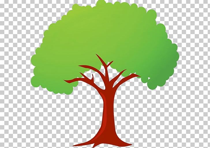 Drawing Apple PNG, Clipart, Apple, Apple Tree, Branch, Cartoon, Cartoon Network Arabic Free PNG Download