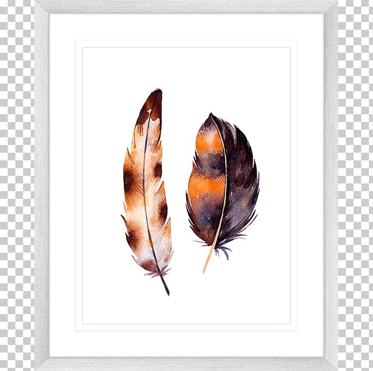 Feather White Color Frames PNG, Clipart, Animals, Butterfly, Color, Feather, Feather Watercolor Free PNG Download