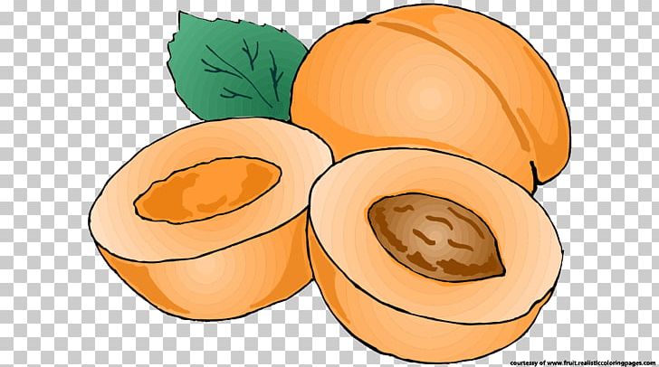 Pumpkin Apricot Fruit PNG, Clipart, Apricot, Calabaza, Cartoon, Commodity, Cucurbita Free PNG Download