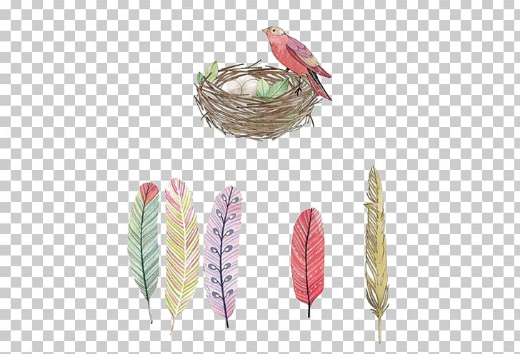 Bird Feather Nest Egg PNG, Clipart, Animal, Animals, Bird, Birdie, Bird Nest Free PNG Download