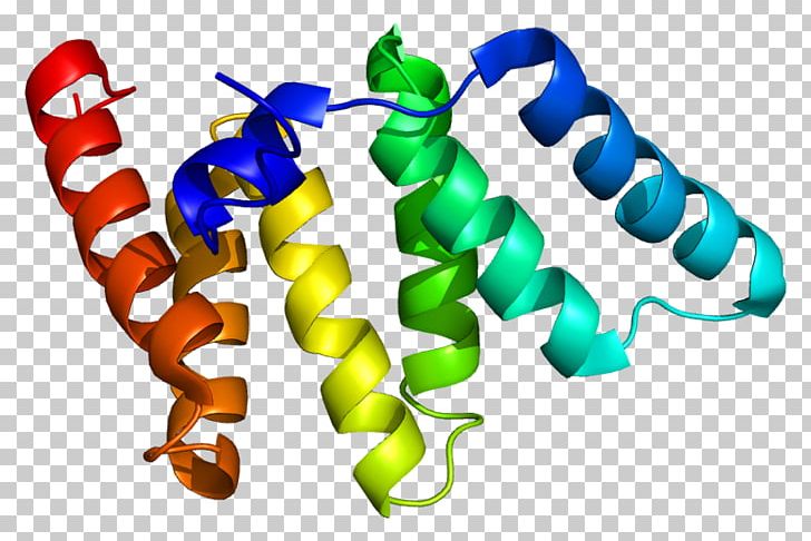 FIS1 Mitochondrial Fission Protein Gene Mitophagy PNG, Clipart, Animal Figure, Biology, Chromosome, Chromosome 7, Cterminus Free PNG Download