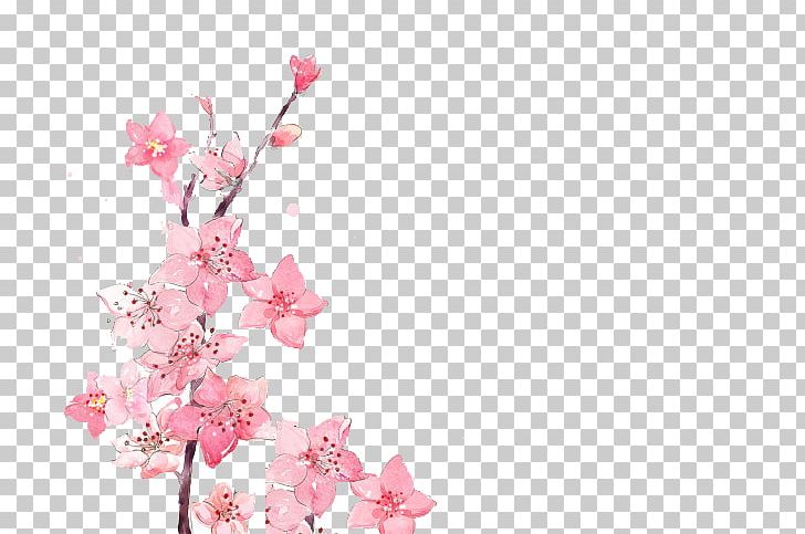 Watercolor Painting Flower PNG, Clipart, Cherry Blossom, Color, Computer Wallpaper, Drawing, Elegance Free PNG Download