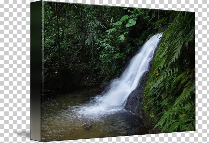 Waterfall Water Resources Nature Reserve Rainforest Stream PNG, Clipart, Biome, Body Of Water, Chute, Creek, Forest Free PNG Download