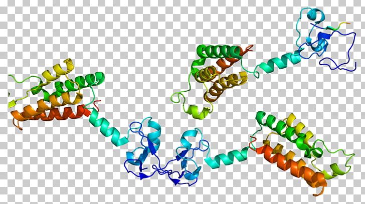 BPTF Wikipedia Protein Nucleosome Remodeling Factor Gene PNG, Clipart, Art, Dactyl, Double Dactyl, Encyclopedia, English Wikipedia Free PNG Download