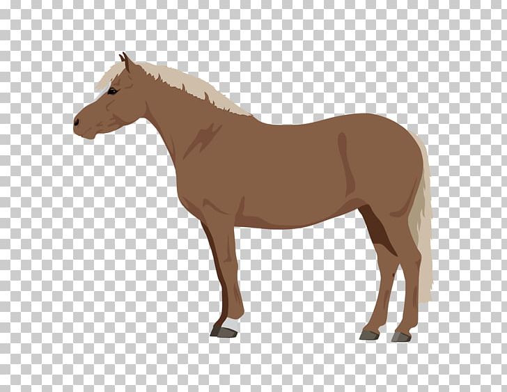 Horse Stock Photography Pony Illustration PNG, Clipart, Animal Figure, Art, Bridle, Colt, Foal Free PNG Download