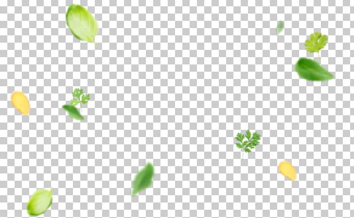 Petal Desktop Leaf PNG, Clipart, Biryani, Closeup, Closeup, Computer, Computer Wallpaper Free PNG Download