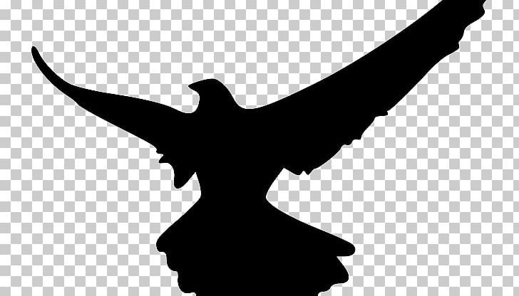 Silhouette Bird Falcon PNG, Clipart, Animals, Arm, Beak, Bird, Bird Of Prey Free PNG Download