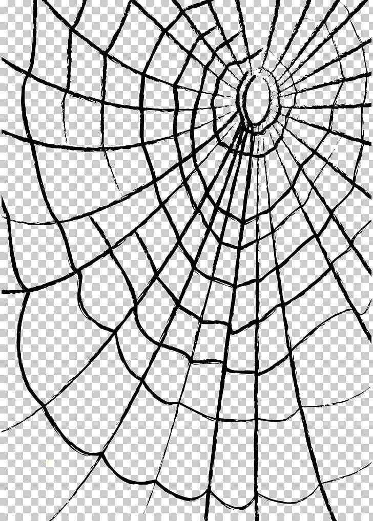 Spider Web PNG, Clipart, Angle, Area, Art, Black And White, Blog Free PNG Download