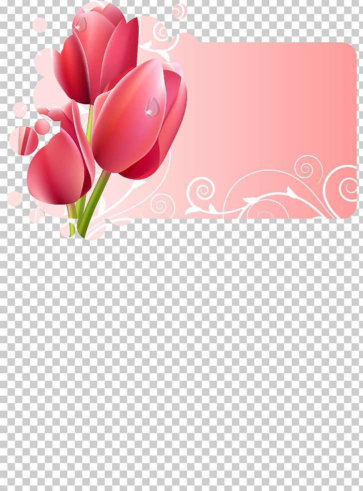 Flower Frame Tulip Floral Design PNG, Clipart, Border, Border Frame, Border Vector, Certificate Border, Christmas Border Free PNG Download