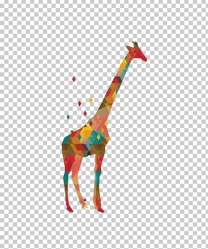 Northern Giraffe Graphic Design Illustration PNG, Clipart, Animals, Art, Color, Color Pencil, Color Powder Free PNG Download