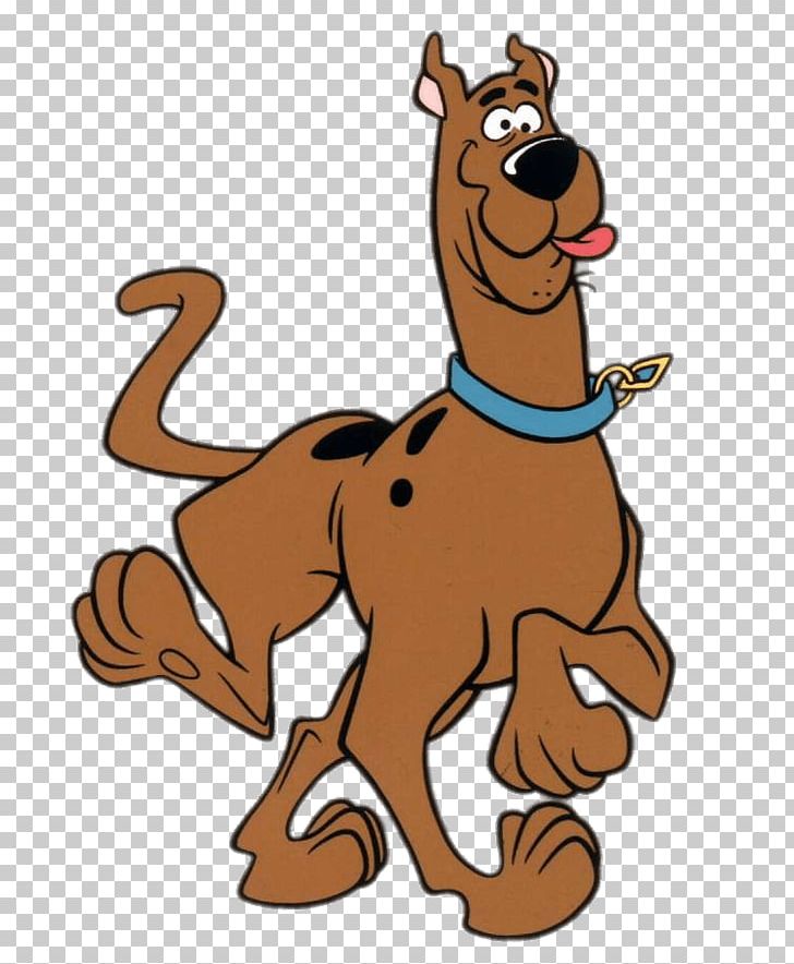 Scooby Doo Daphne Blake Shaggy Rogers Scooby-Doo Model Sheet PNG ...