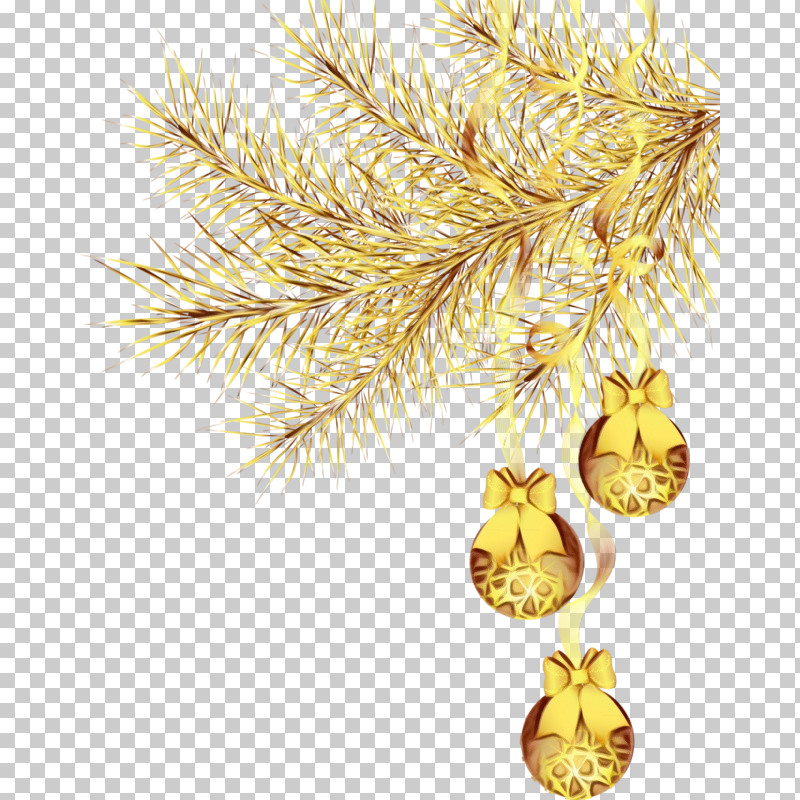 Christmas Tree PNG, Clipart, Christmas Decoration, Christmas Tree, Conifer, Fir, Paint Free PNG Download