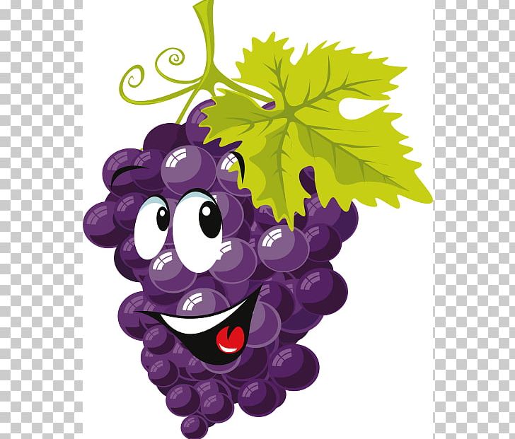 Common Grape Vine Cartoon PNG, Clipart, Animation, Art, Cartoon, Clip Art, Common Grape Vine Free PNG Download