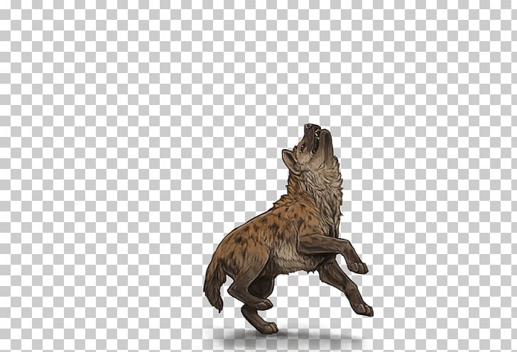 Lion Spotted Hyena Carnivora Mane PNG, Clipart, Agility, Animal, Animals, Birth, Carnivora Free PNG Download
