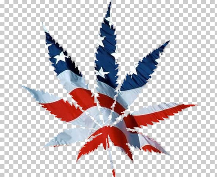 United States Medical Cannabis Hash PNG, Clipart, Cannabis, Cannabis Cultivation, Cannabis Industry, Flag Of The United States, Hash Marihuana Hemp Museum Free PNG Download