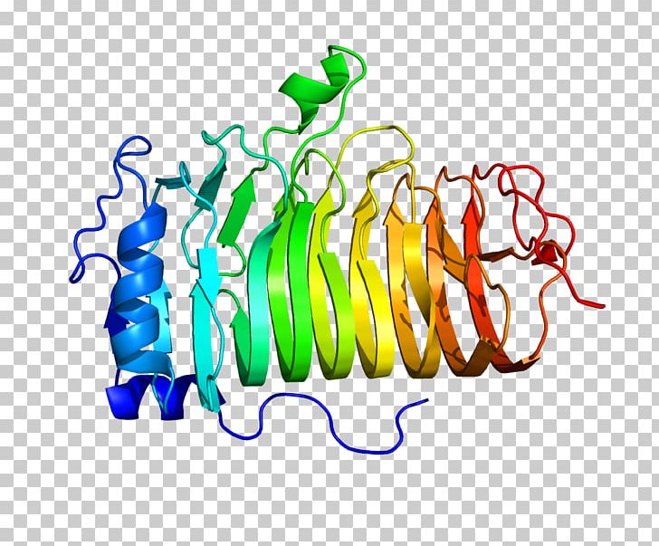 CD20 Chimeric Antigen Receptor Rituximab B Cell PNG, Clipart, 4 A, 8 B, Antibody, Antigen, Area Free PNG Download