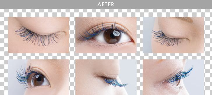 Eyelash Extensions Artificial Hair Integrations まつ毛エクステンション Mascara PNG, Clipart, Artificial Hair Integrations, Beauty, Blue, Closeup, Color Free PNG Download