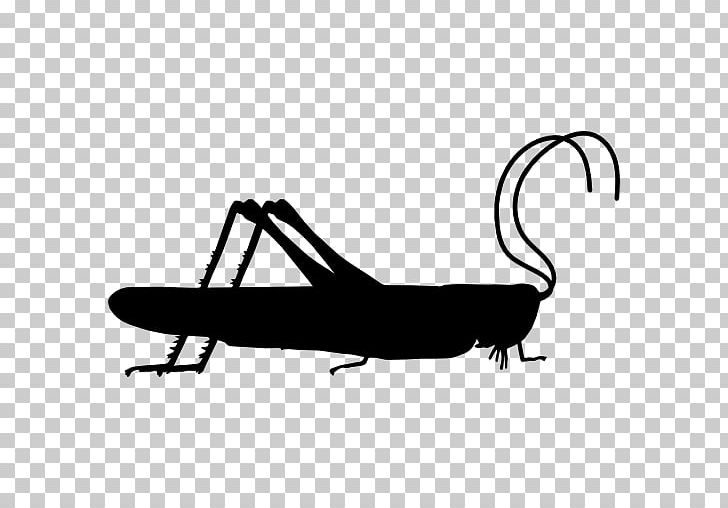 Grasshopper Insect Locust Computer Icons PNG, Clipart, Animal, Antenna, Artwork, Automotive Design, Black And White Free PNG Download