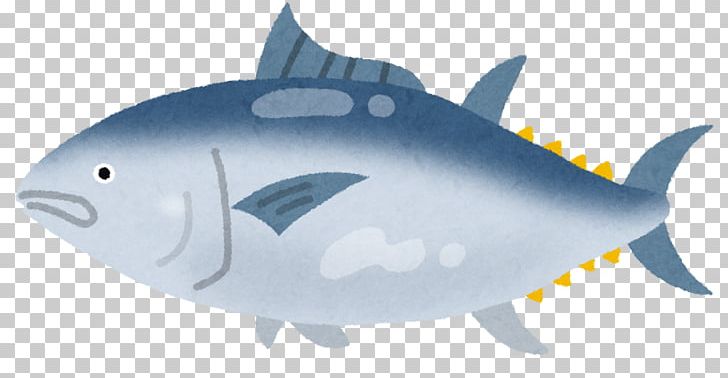 Sashimi Misaki Food Fish Chūtoro PNG, Clipart, Animals, Bony Fish, Cartilaginous Fish, European Pilchard, Fauna Free PNG Download