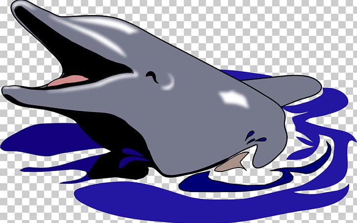 Common Bottlenose Dolphin Tucuxi PNG, Clipart, Animals, Cobalt, Common Bottlenose Dolphin, Computer Icons, Copyright Free PNG Download