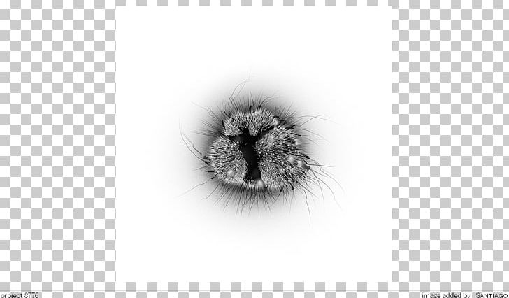 Desktop Fur PNG, Clipart, Art, Artwork, Black And White, Computer, Computer Wallpaper Free PNG Download