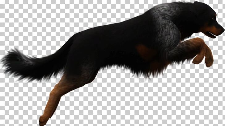 Dog Breed Puppy Canidae Snout PNG, Clipart, Animal, Animals, Breed, Canidae, Carnivora Free PNG Download