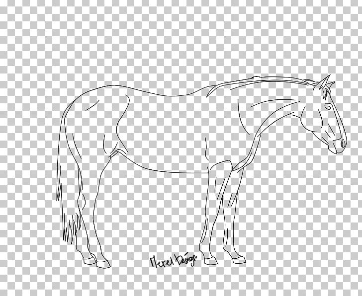 Mule Pony Line Art Mustang Sketch PNG, Clipart, Animal Figure, Arm, Art, Artwork, Black And White Free PNG Download