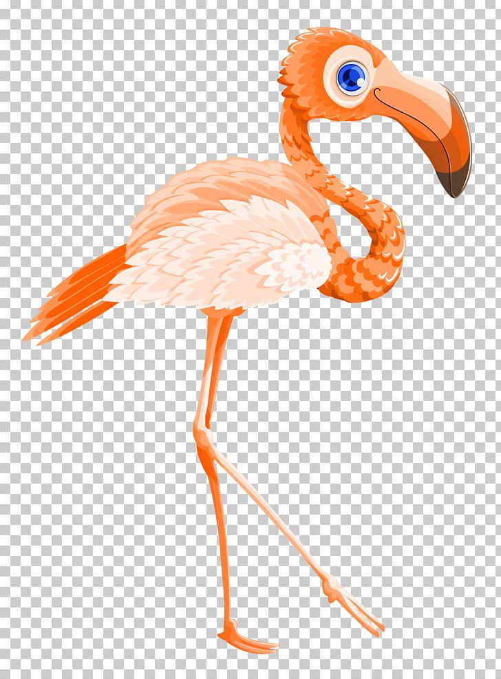 Flamingo Valentines Day PNG, Clipart, Animal, Beak, Bird, Cartoon, Character Free PNG Download