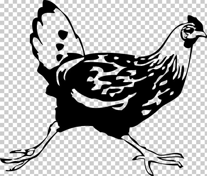 Roast Chicken Fried Chicken Chicken Meat PNG, Clipart, Animals, Art, Artwork, Beak, Bird Free PNG Download