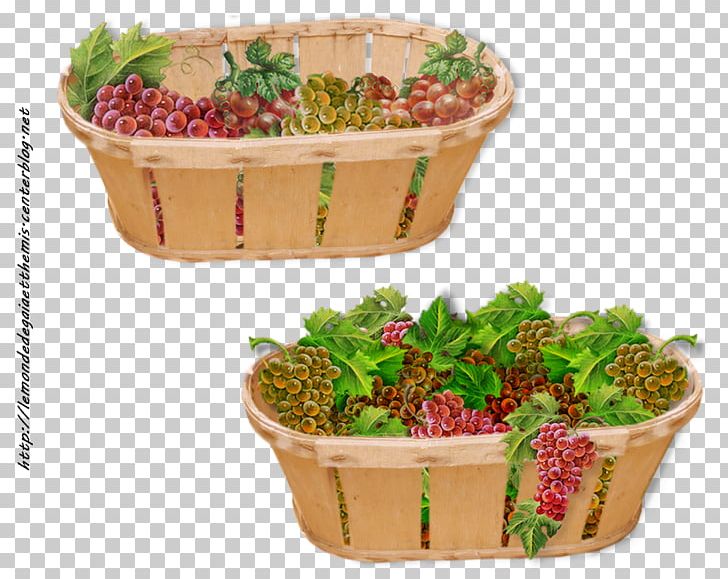 Flowerpot Plastic Herb Superfood Basket PNG, Clipart, Basket, Flowerpot, Food, Fruit, Herb Free PNG Download