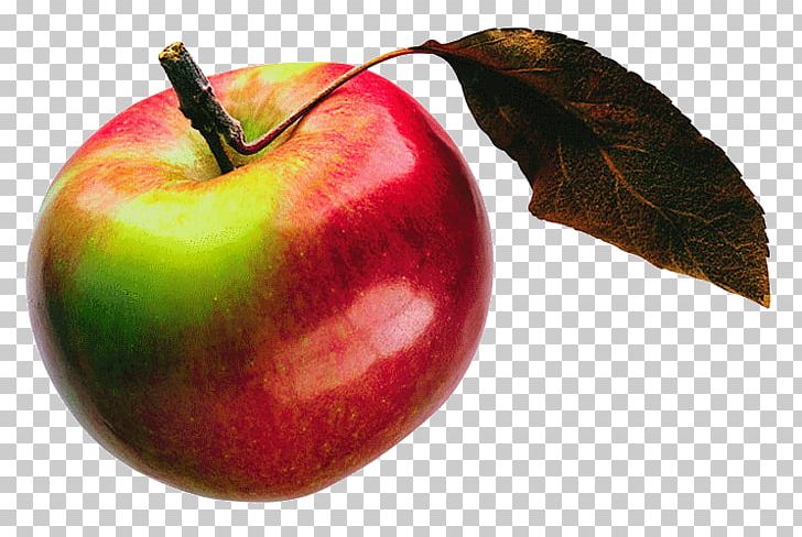 Accessory Fruit The Story Of The Apple PNG, Clipart, Accessory Fruit, Apple, Auglis, Banana, Cmaptools Free PNG Download