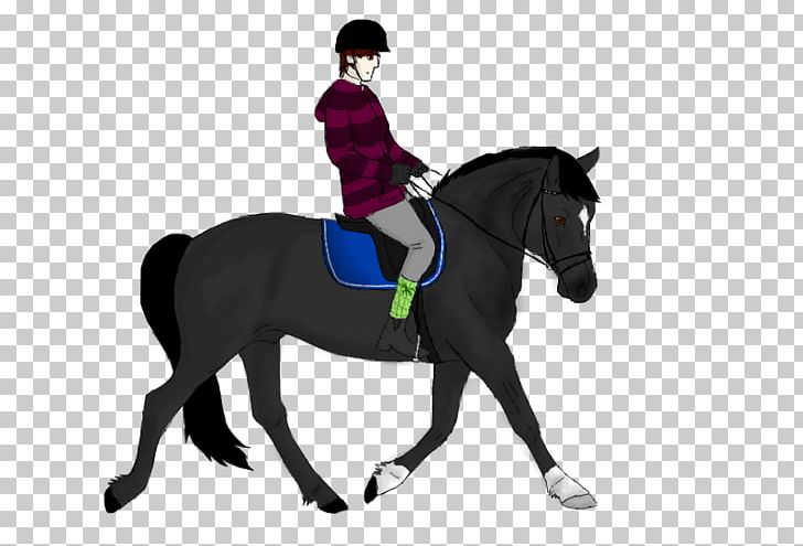 Stallion Dressage Horse Pony Equestrian PNG, Clipart, Animals, Bridle, Dressage, English Riding, Equestrian Free PNG Download