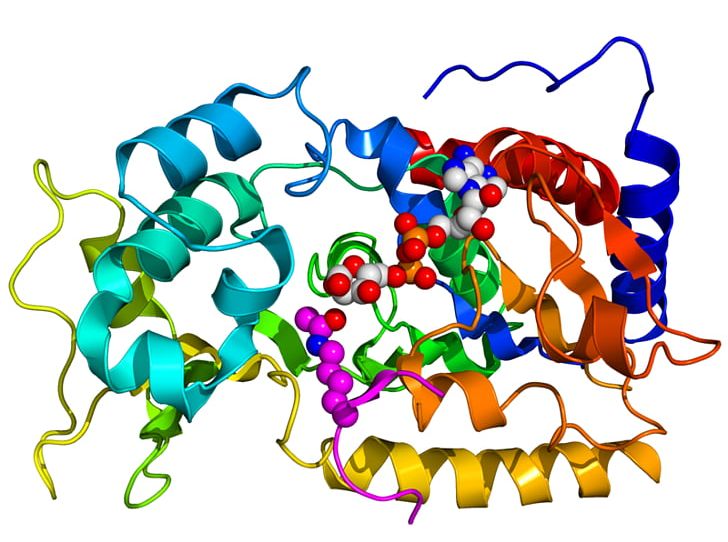 Textbook Of Biochemistry & Biophysics For Nurses Biophysics In Nursing Bio-medical Physics For Nurses Lippincott's Pocket Manual Of Nursing Practice PNG, Clipart, Area, Art, Artwork, Biochemistry, Biology Free PNG Download