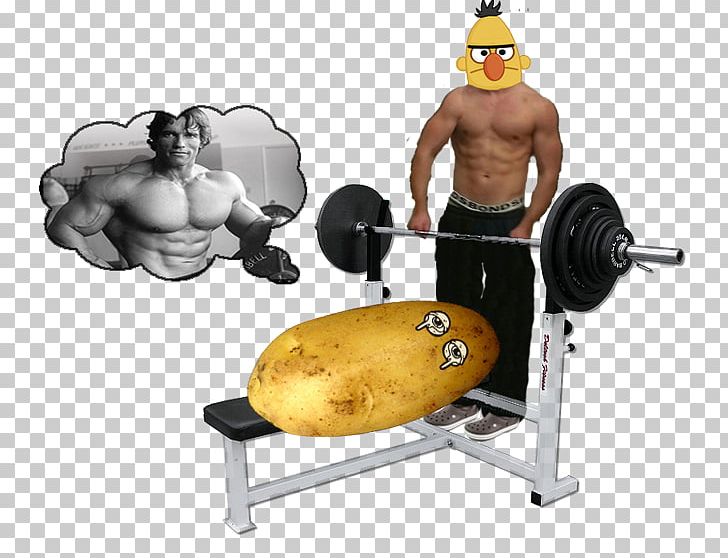 Weight Training Shoulder Barbell Bench Press PNG, Clipart, Arm, Barbell, Bench, Bench Press, Biceps Curl Free PNG Download