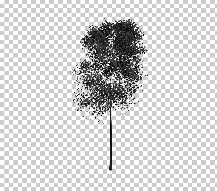 White Leaf Branching PNG, Clipart, Black And White, Branch, Branching, Leaf, Plant Free PNG Download