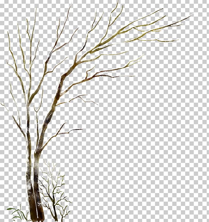 Winter Trunk Tree PNG, Clipart, Beautiful Girl, Beauty, Beauty Salon, Black And White, Branch Free PNG Download