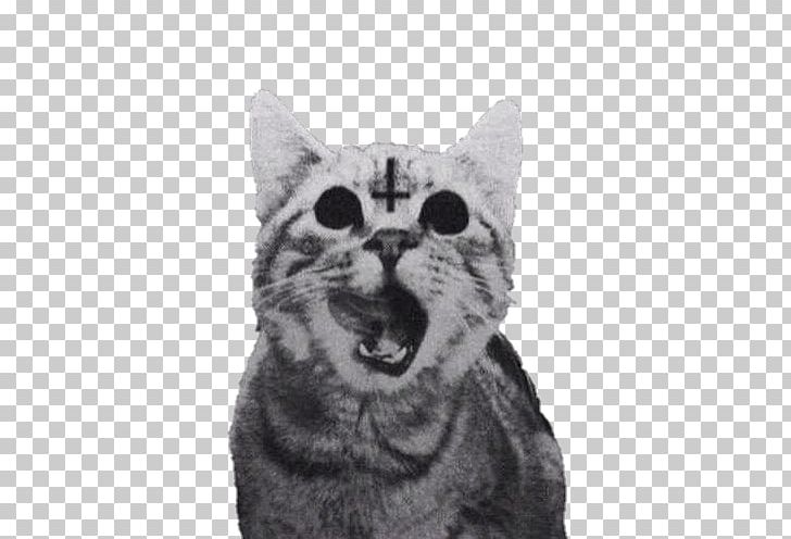 Cat Kitten Lucifer Cross Of Saint Peter Satanism PNG, Clipart, American Shorthair, Animals, Carnivoran, Cat Like Mammal, Goth Subculture Free PNG Download