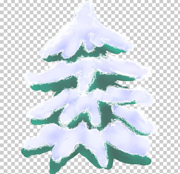 Fir Christmas Ornament Spruce Christmas Tree PNG, Clipart, Aqua, Christmas, Christmas Decoration, Christmas Ornament, Christmas Tree Free PNG Download