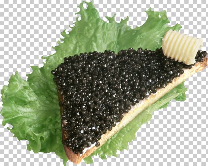 Beluga Caviar Butterbrot Pancake Roe PNG, Clipart, Beluga Caviar, Bread, Cooking, Delicacy, Dish Free PNG Download