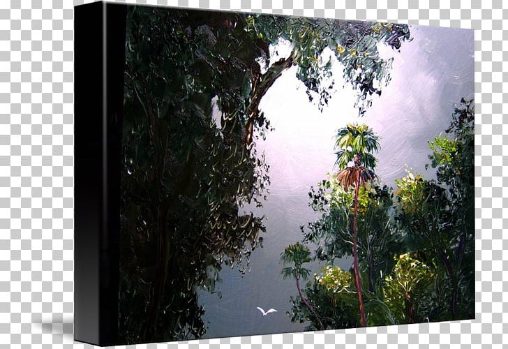 Gallery Wrap Forest Flora Frames Biome PNG, Clipart, Art, Biome, Branch, Canvas, Flora Free PNG Download