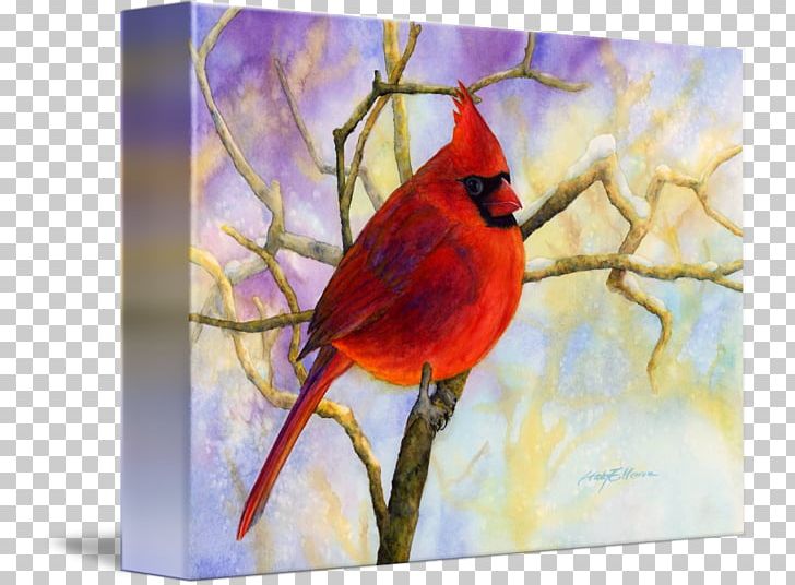 Watercolor Painting Acrylic Paint Acrylic Resin PNG, Clipart, Acrylic Paint, Acrylic Resin, Beak, Bird, Branch Free PNG Download