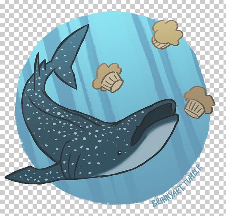 cute whale tumblr