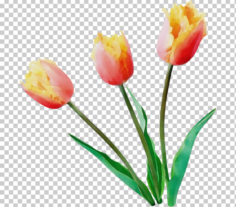 Artificial Flower PNG, Clipart, Artificial Flower, Bud, Cut Flowers, Flower, Lily Family Free PNG Download