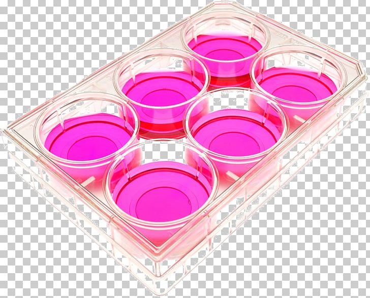 Cell Culture Cell And Tissue Culture Petri Dishes PNG, Clipart, Cell, Cell  And Tissue Culture, Cell