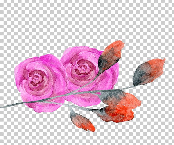 Garden Roses Creative Watercolor Transparent Watercolor Watercolor Painting PNG, Clipart, Creative Watercolor, Cut Flowers, Flower, Flowering Plant, Flowers Free PNG Download